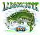 largemouth bass