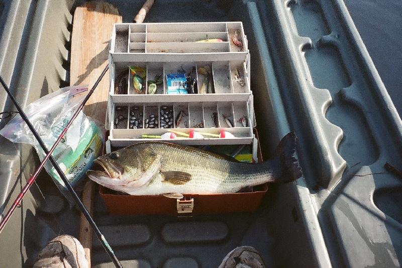 5 lb bass, Raymond NH