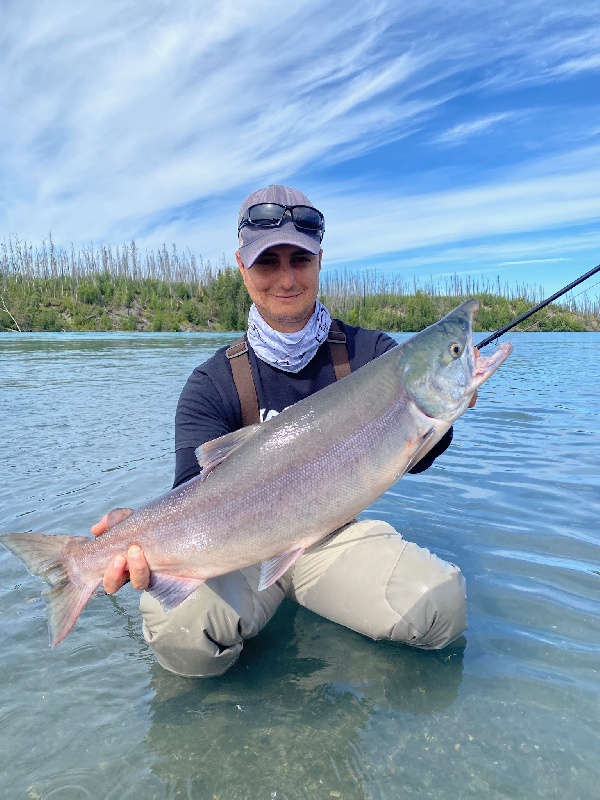 Male Sockeye Salmon #Alaska