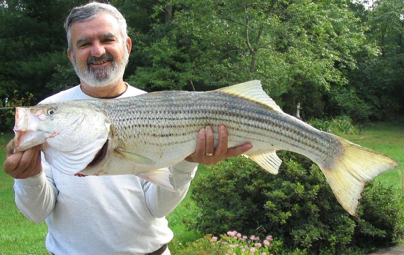 Keeper from the Canal