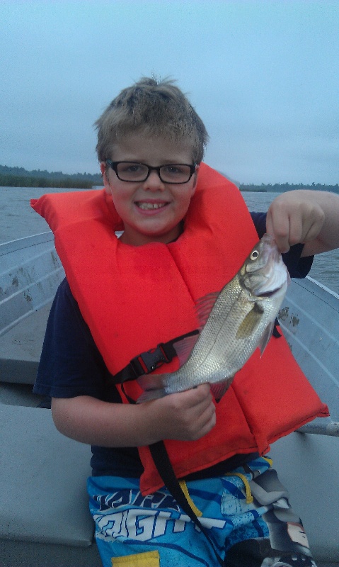 First white perch