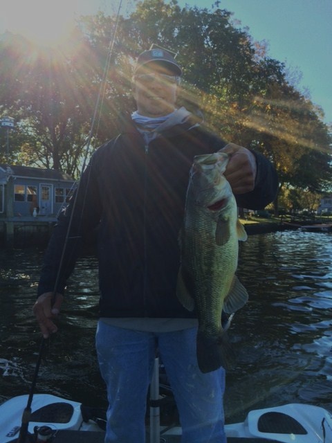 three pounder