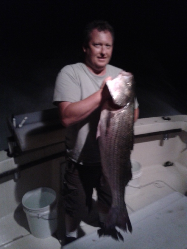 Big Striper