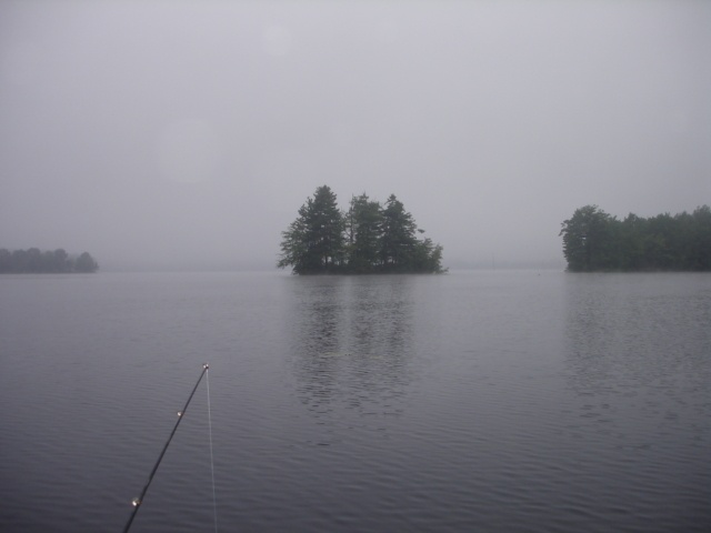 1A stump pond