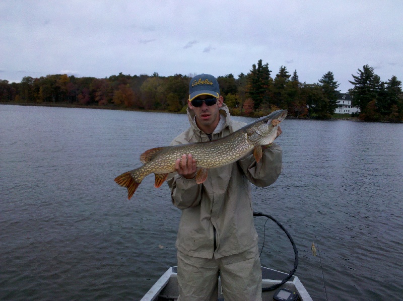 36" northern pike