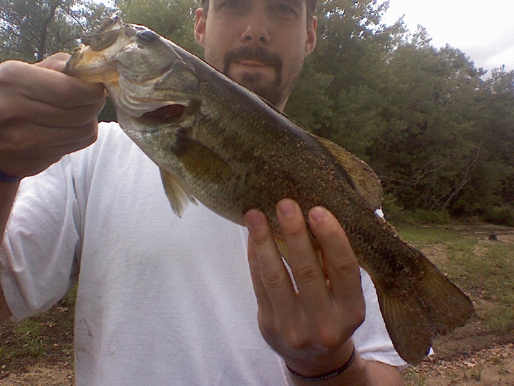 Largemouth